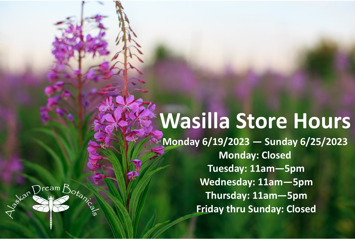 Wasilla Store Hours 6/19/23 - 6/25/23
