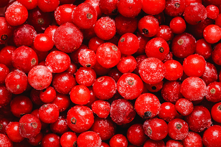 
                  
                    Cranberry Lip Balm - Alaskan Dream Botanicals
                  
                