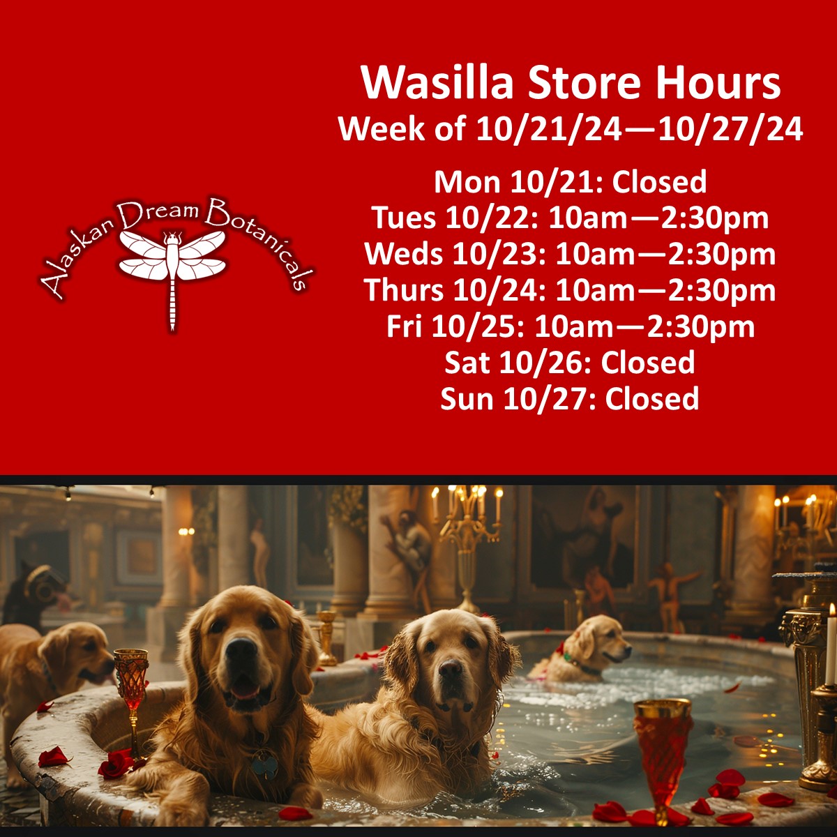 Wasilla Store Hours